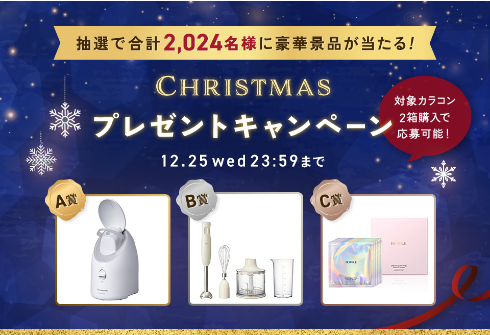 クリスマスプレゼントキャンペーン2024