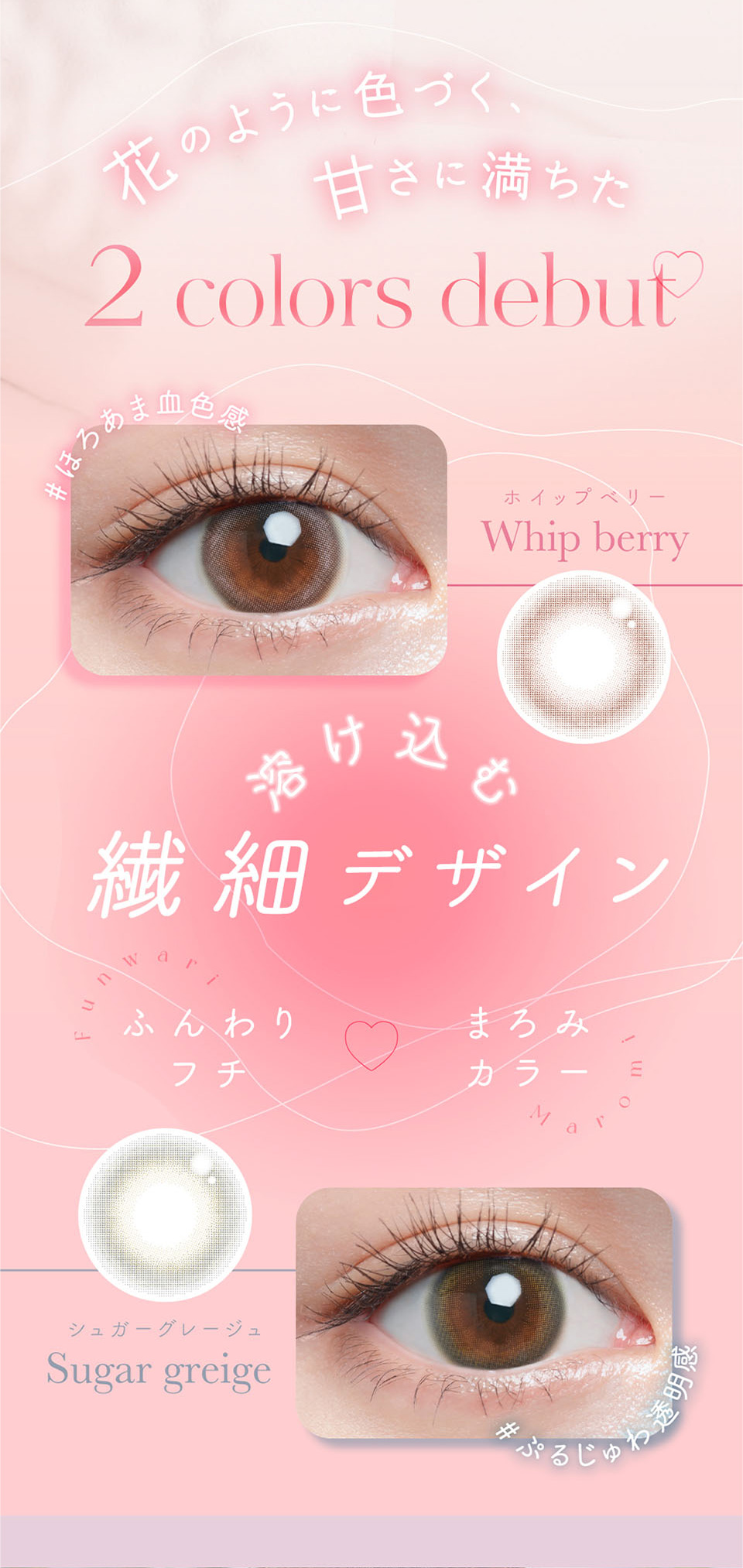 2 colors debut