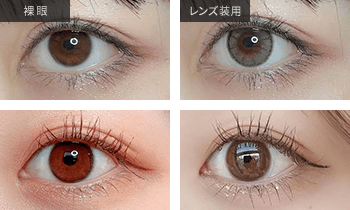 モラク ワンデー ダズルグレー装用