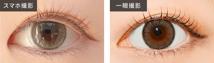トパーズ ワンデー NO.8 グレージュクォーツ 10枚入り