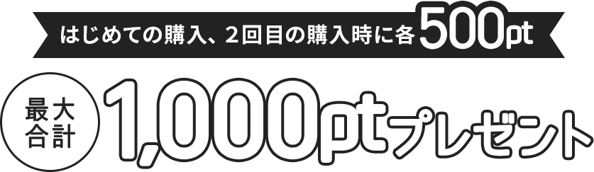 はじめての購入、2回目の購入時に各500pt 最大合計1,000ptプレゼント