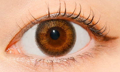 WAVEワンデー UV リング plus フラワーコレクション ポピーベール 10枚入り