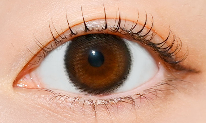 フェリアモ ワンデー コーヒーゼリー 10枚入り