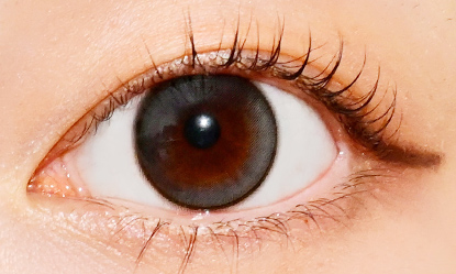 モラク ワンデー ドーリッシュグレー 10枚入り