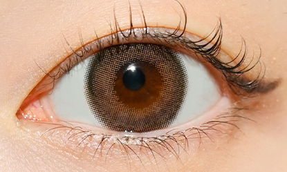 モラク ワンデー ダークピオニー 10枚入り