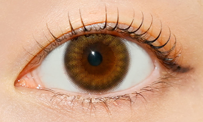 トパーズ ワンデー ガーネット 10枚入り