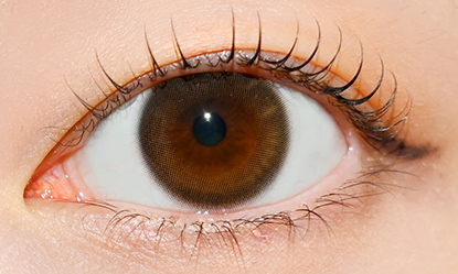 トパーズ ワンデー グローブラウン 10枚入り