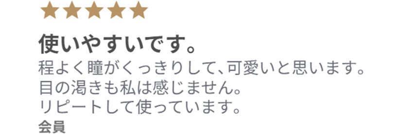 レビューコメント