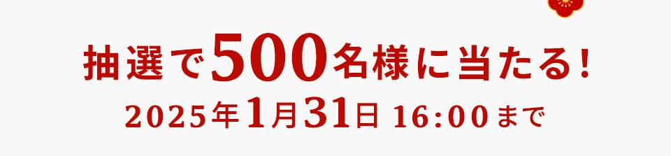 抽選で500名様に当たる! 締切 2025年1月31日 16:00まで