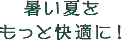 サマーセール開催!