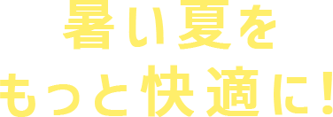 サマーセール開催!