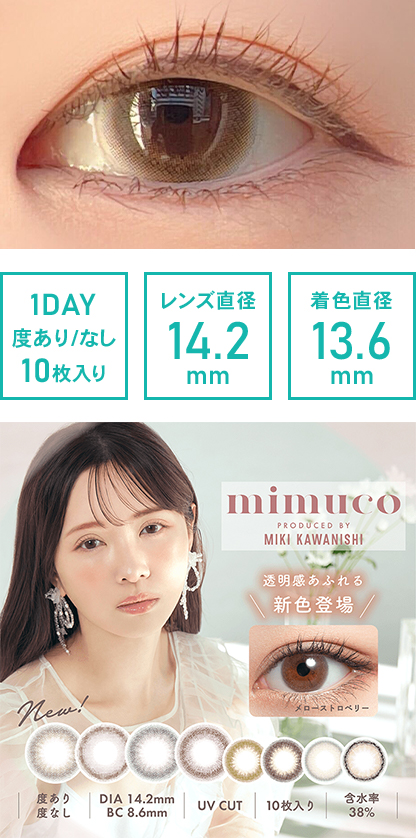 ミムコ ワンデー ブラウンフォンデュ 10枚入り