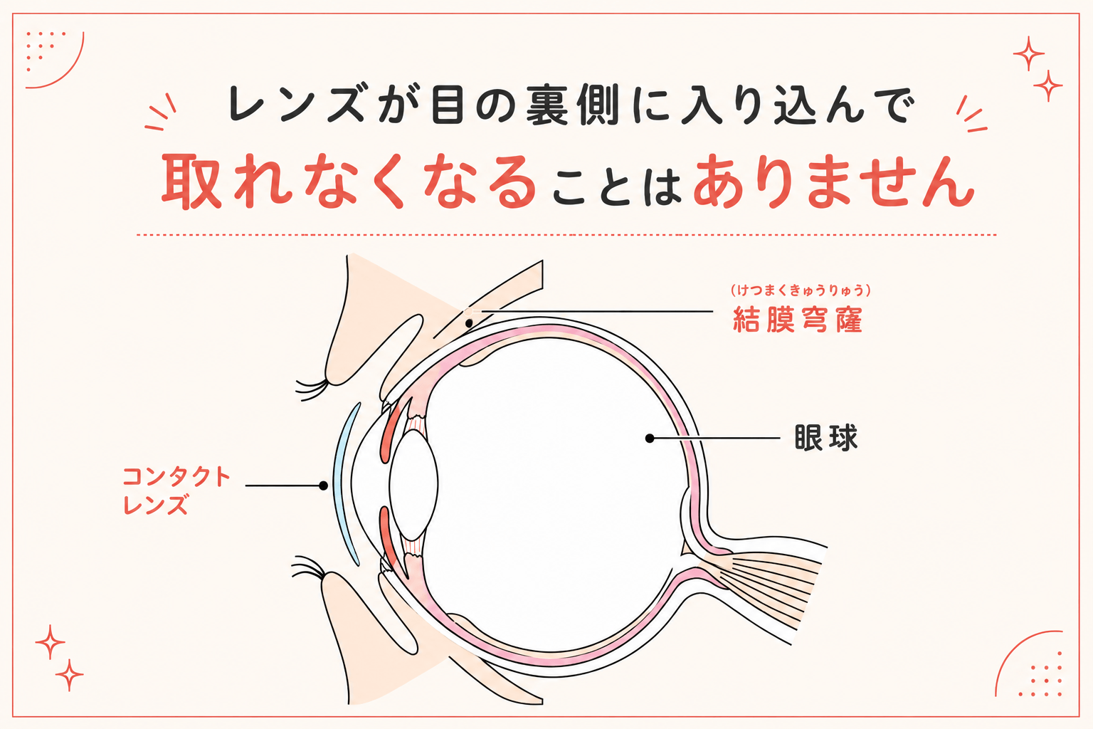 目の構造の図解