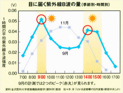 目に届く紫外線B波の量