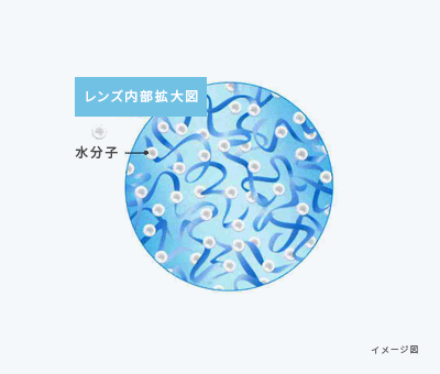 レンズ内部拡大図