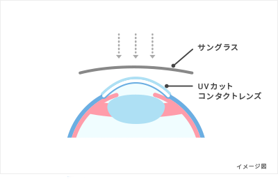 紫UVカットコンタクトレンズが紫外線を吸収する図