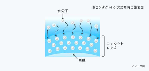 ※コンタクトレンズ装用時の断面図