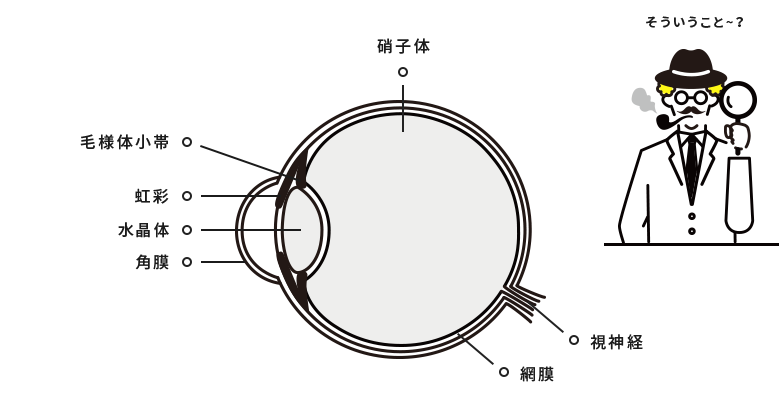 老視になる原因