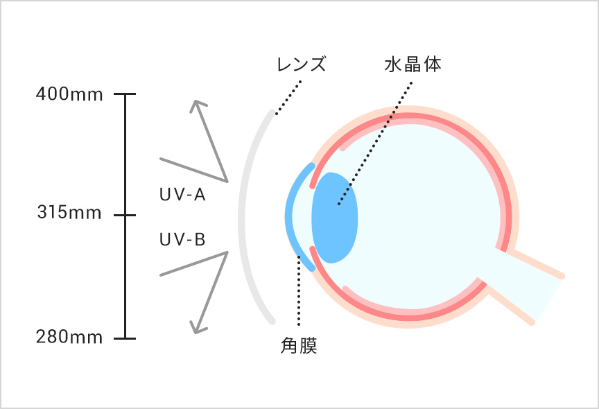レンズについて｜コンタクトレンズ通販レンズアップル