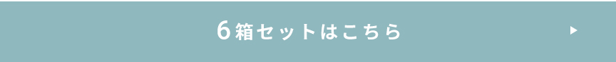 メダリスト 6箱セット
