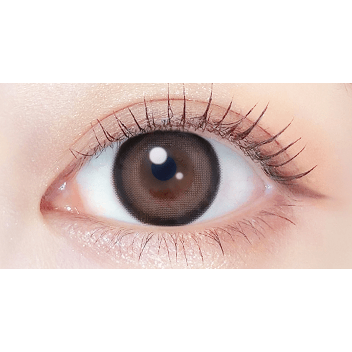 エバーカラー マンスリー テディモカ 2枚入り