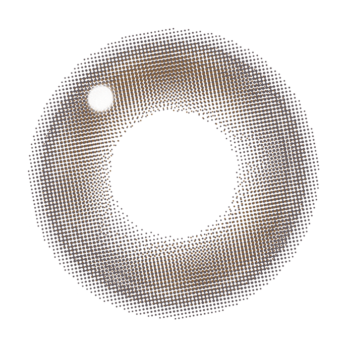 レヴィアワンデー サークル ヌイブラウン 10枚入り