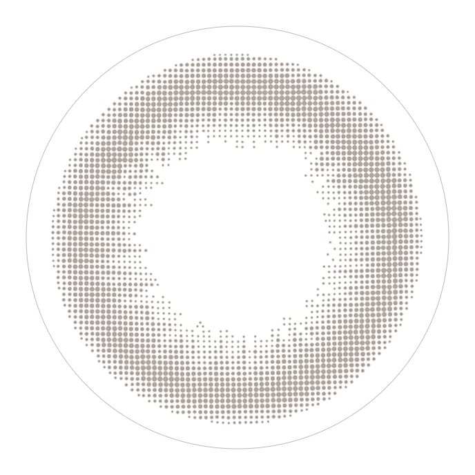 レヴィアワンデー サークル トーリック ブラウン 10枚入り