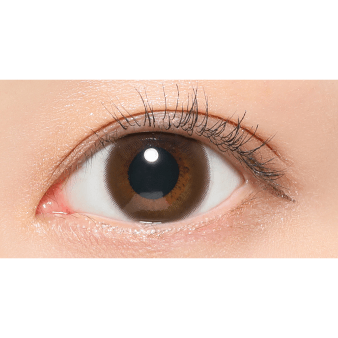 レヴィアワンデー サークル トーリック ブラウン 10枚入り