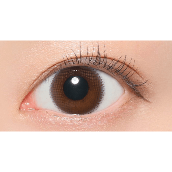 レヴィアワンデー サークル トーリック ムースブラウン 10枚入り