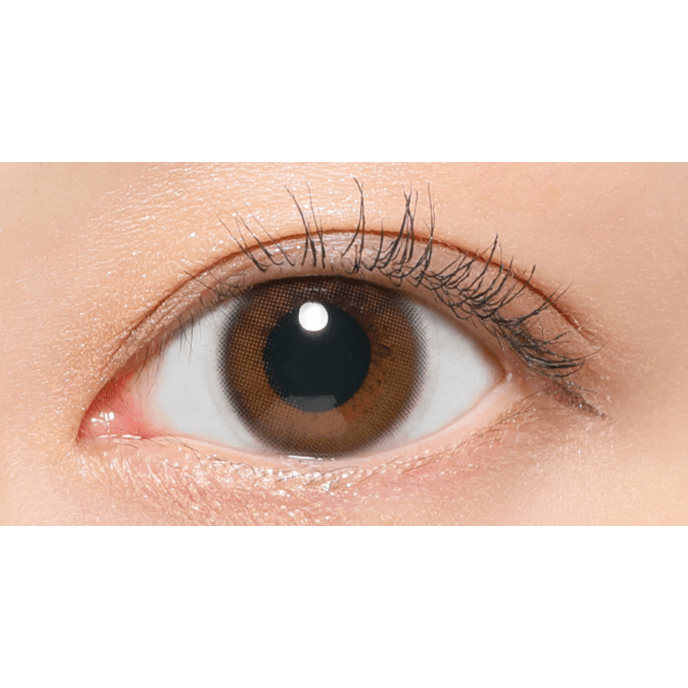 レヴィアワンデー カラー トーリック メルティベア 10枚入り