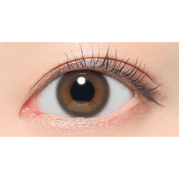 レヴィアワンデー カラー トーリック ステイミー 10枚入り