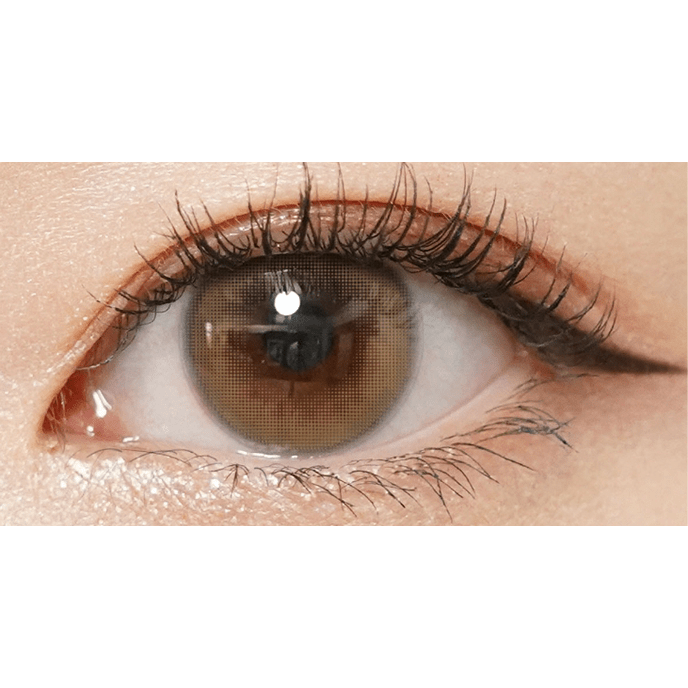 【いっしょに花咲けWAVE EYESキャンペーン対象商品】WAVEワンデー リング リミテッドコレクション モデル ヴィヴィットミューズ エクリュブラウン 10枚入り（×4箱）