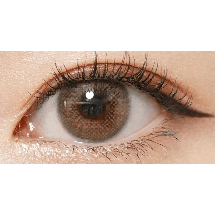 【いっしょに花咲けWAVE EYESキャンペーン対象商品】WAVEワンデー リング リミテッドコレクション モデル ヴィヴィットミューズ ゼニスブルー 10枚入り（×8箱）