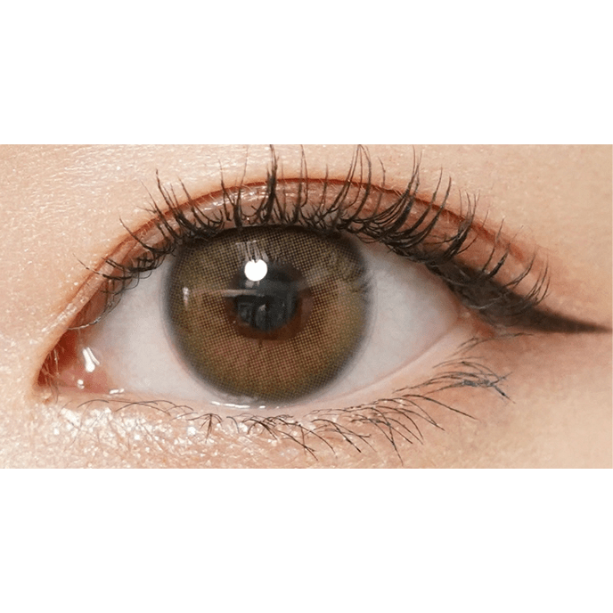 【いっしょに花咲けWAVE EYESキャンペーン対象商品】WAVEワンデー リング リミテッドコレクション モデル ヴィヴィットミューズ セピアヘーゼル 10枚入り（×8箱）