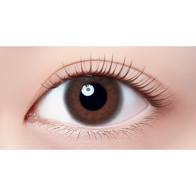 【いっしょに花咲けWAVE EYESキャンペーン対象商品】Puffmee（パフミー）マンスリー ダークココアブラウン 2枚入り（×4箱）