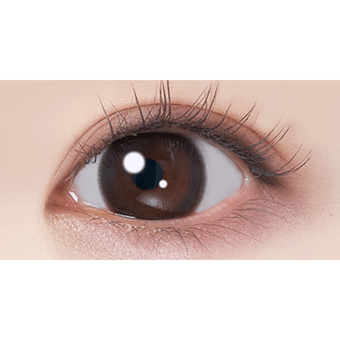 ルートレンズ ワンデー カレッジブラック 10枚入り