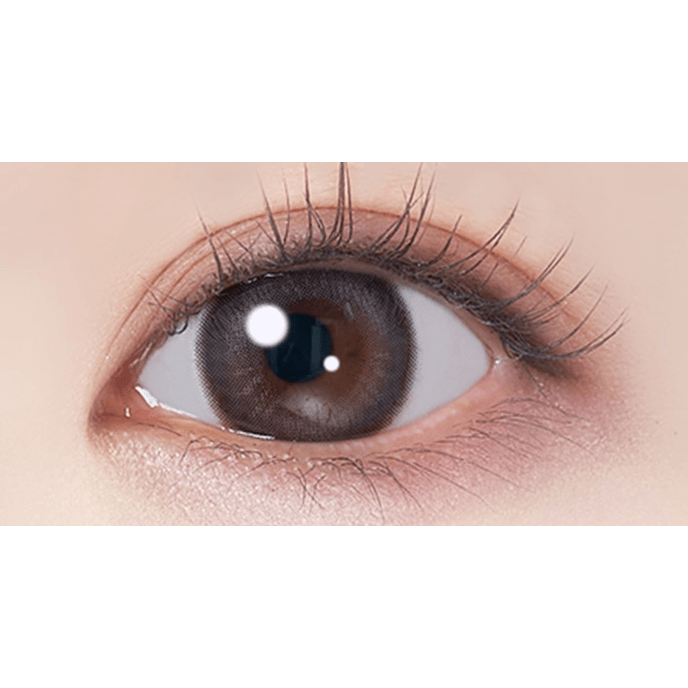 ルートレンズ ワンデー モカリボン 10枚入り