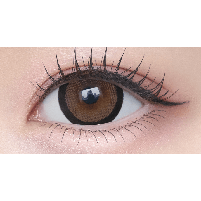 シャプン ワンデー みつめてブラウニー 10枚入り