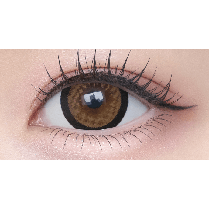 シャプン ワンデー おめかしキャメル 10枚入り