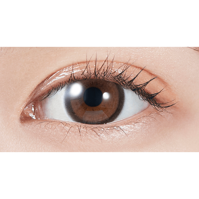 モラク ワンデー トーリック ブラウンバニー 10枚入り