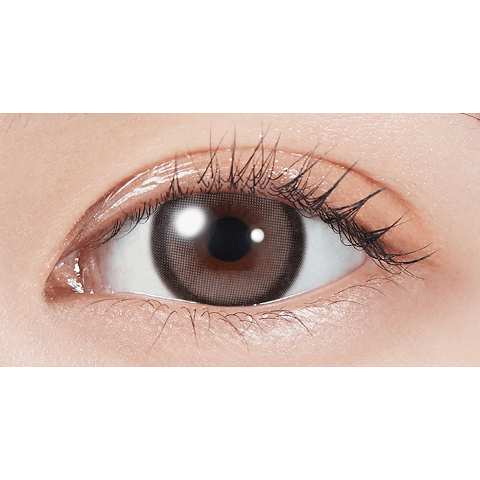 モラク ワンデー グレーバニー 10枚入り