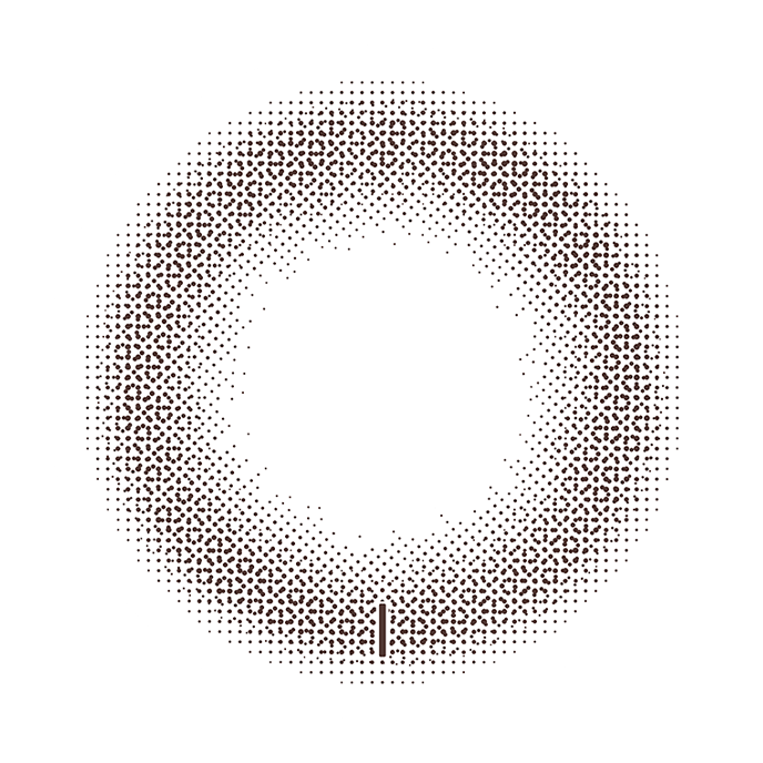 トパーズ ワンデー トーリック ベイビーエスプレッソ 10枚入り