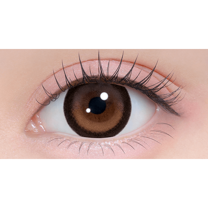 シャプン マンスリー ときとめブラウン 2枚入り