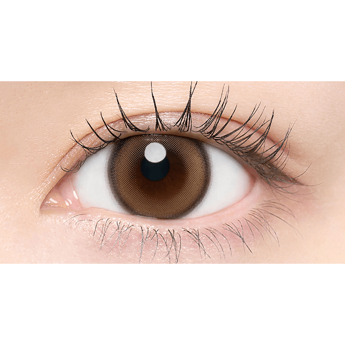 チューズミー ワンデー トーリック エッセンスベージュ 10枚入り