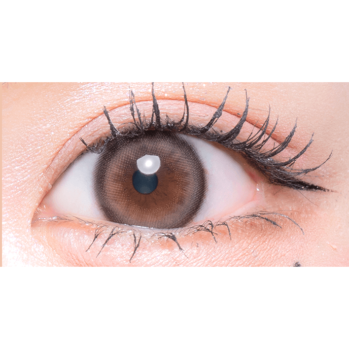 フルーリー ぱちくりベアー （リングラージブラウン） 10枚入り（×2箱）