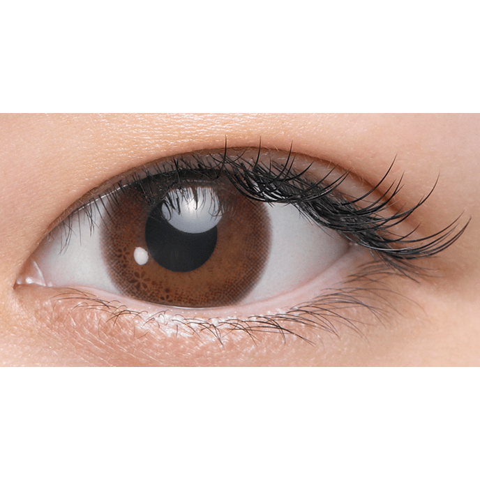 シード Eye coffret 1day UV M スウィーティーメイク（レオス・ヴィンセント特典付き）（×2箱）