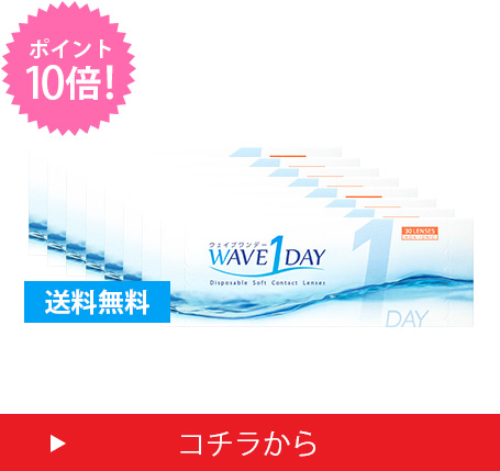 ウェイブワンデー8箱セット ポイント10倍 送料無料